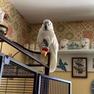 Meet your Posher, Jill